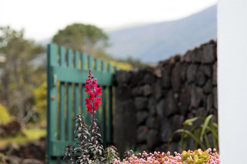 Casa do Paim São Roque do Pico Exterior foto