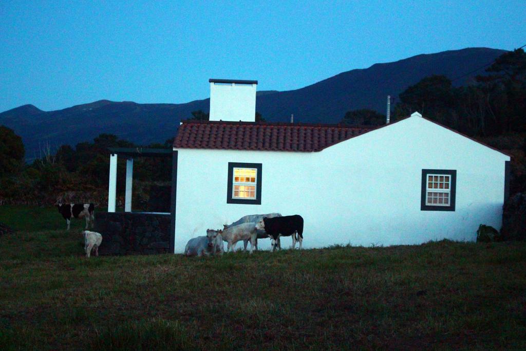 Casa do Paim São Roque do Pico Exterior foto